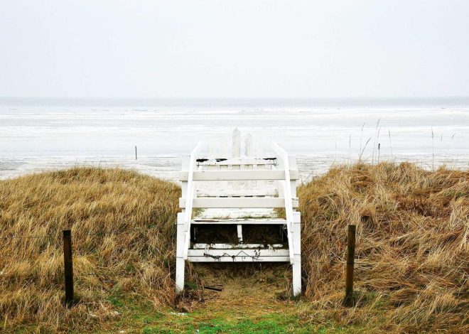 Bocor Alus! Duo HP Baru Motorola Moto G67 & G77 Siap Sikat Game Mobile Budget, Cek Speknya! – IndoGamers