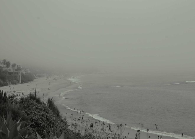 Bocor Alus! Duo HP Baru Motorola Moto G67 & G77 Siap Sikat Game Mobile Budget, Cek Speknya! – IndoGamers