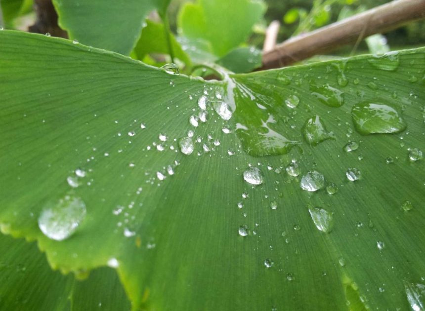 Bocor Alus! Duo HP Baru Motorola Moto G67 & G77 Siap Sikat Game Mobile Budget, Cek Speknya! – IndoGamers