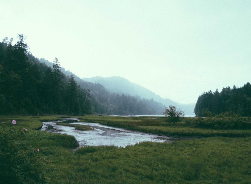 Bocor Alus! Duo HP Baru Motorola Moto G67 & G77 Siap Sikat Game Mobile Budget, Cek Speknya! – IndoGamers