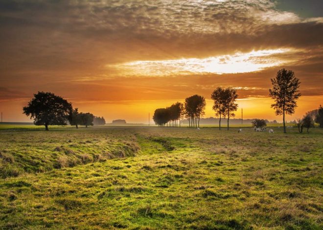 Bocor Alus! Duo HP Baru Motorola Moto G67 & G77 Siap Sikat Game Mobile Budget, Cek Speknya! – IndoGamers