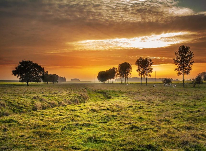 Bocor Alus! Duo HP Baru Motorola Moto G67 & G77 Siap Sikat Game Mobile Budget, Cek Speknya! – IndoGamers