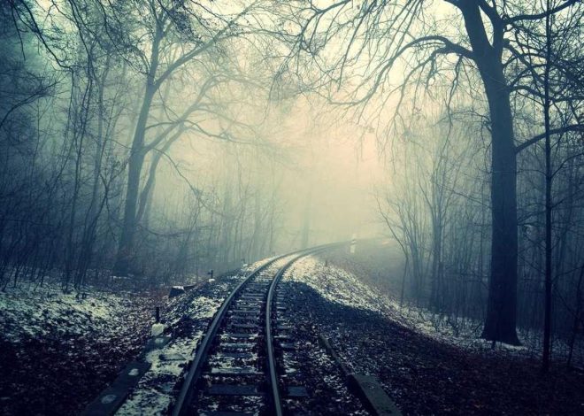 Bocor Alus! Duo HP Baru Motorola Moto G67 & G77 Siap Sikat Game Mobile Budget, Cek Speknya! – IndoGamers