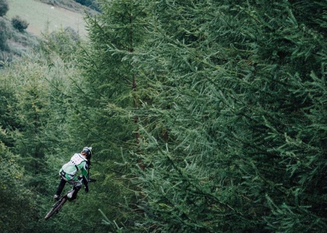 Bocor Alus! Duo HP Baru Motorola Moto G67 & G77 Siap Sikat Game Mobile Budget, Cek Speknya!