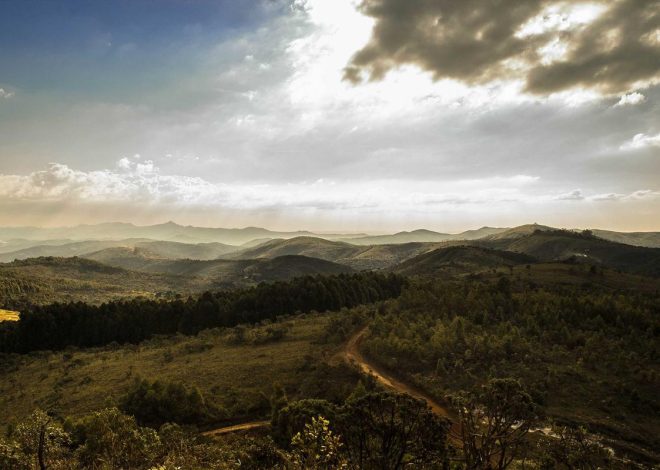 Bocor Alus! Duo HP Baru Motorola Moto G67 & G77 Siap Sikat Game Mobile Budget, Cek Speknya!