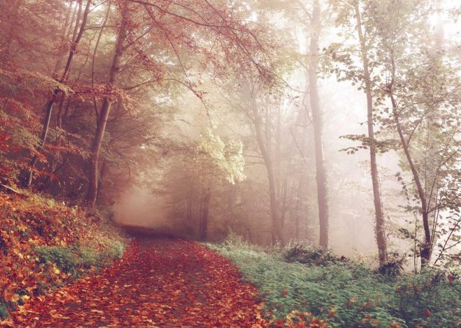 Bocor Alus! Duo HP Baru Motorola Moto G67 & G77 Siap Sikat Game Mobile Budget, Cek Speknya! – IndoGamers