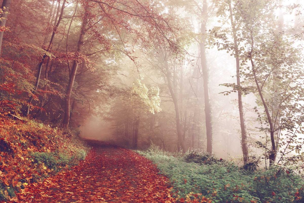 Bocor Alus! Duo HP Baru Motorola Moto G67 & G77 Siap Sikat Game Mobile Budget, Cek Speknya! – IndoGamers