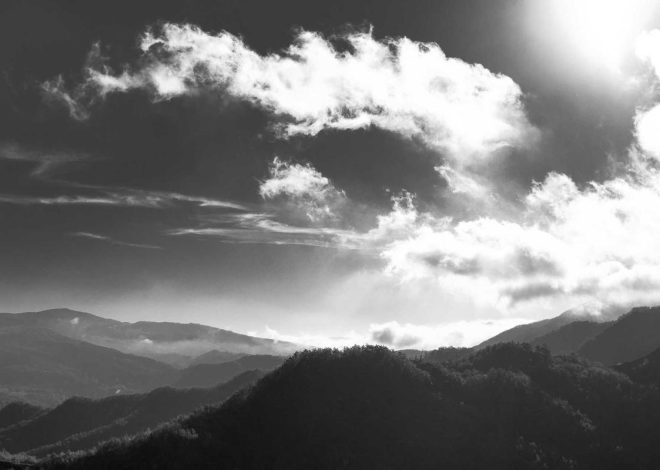 Bocor Alus! Duo HP Baru Motorola Moto G67 & G77 Siap Sikat Game Mobile Budget, Cek Speknya!