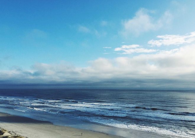 Bocor Alus! Duo HP Baru Motorola Moto G67 & G77 Siap Sikat Game Mobile Budget, Cek Speknya!