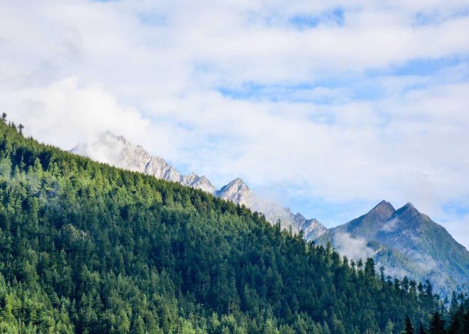 Bocor Alus! Duo HP Baru Motorola Moto G67 & G77 Siap Sikat Game Mobile Budget, Cek Speknya!