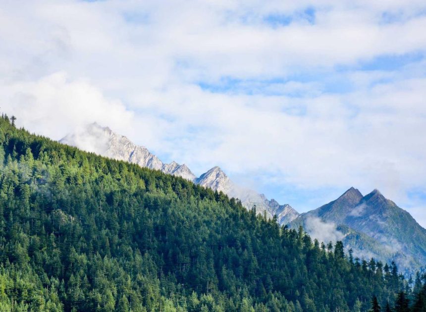 Bocor Alus! Duo HP Baru Motorola Moto G67 & G77 Siap Sikat Game Mobile Budget, Cek Speknya!