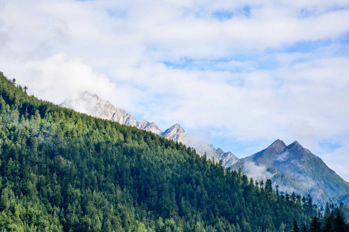 Bocor Alus! Duo HP Baru Motorola Moto G67 & G77 Siap Sikat Game Mobile Budget, Cek Speknya!