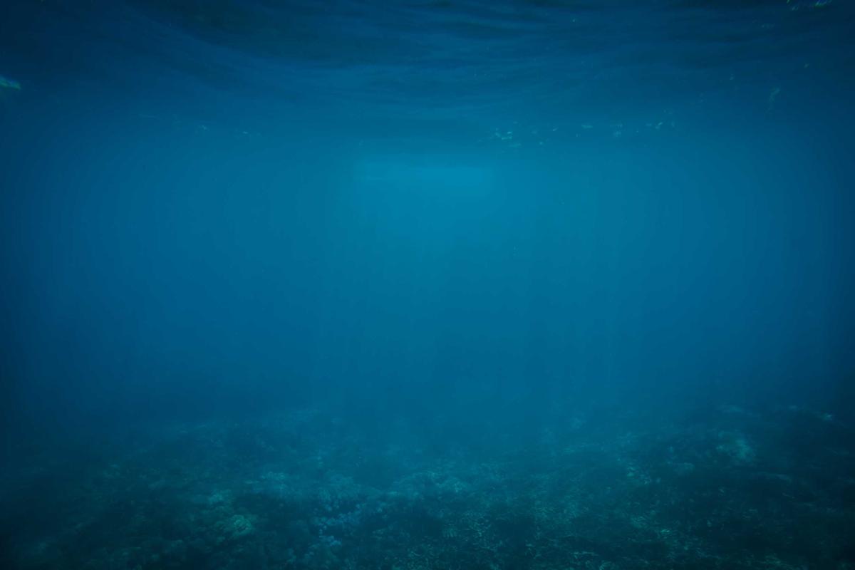 Bocor Alus! Duo HP Baru Motorola Moto G67 & G77 Siap Sikat Game Mobile Budget, Cek Speknya!