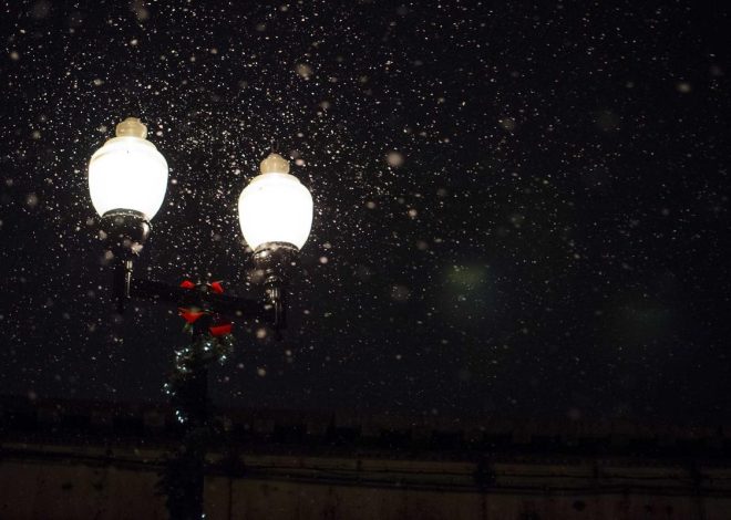 Bocor Alus! Duo HP Baru Motorola Moto G67 & G77 Siap Sikat Game Mobile Budget, Cek Speknya!