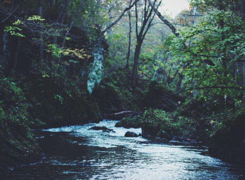 Bocor Alus! Duo HP Baru Motorola Moto G67 & G77 Siap Sikat Game Mobile Budget, Cek Speknya!