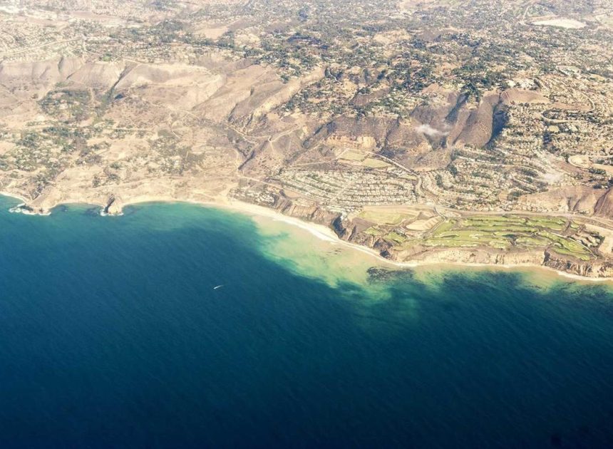 Bocoran Moto G Stylus 5G 2026 Resmi: Stylus Budget Terpanas!