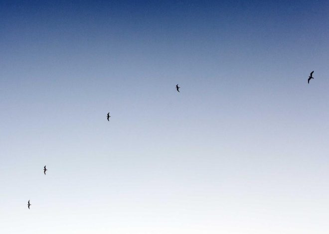 Anggaran Rp 6 M, Pemkot Makassar Beli 3.000 Gadget Untuk Siswa Belajar Daring