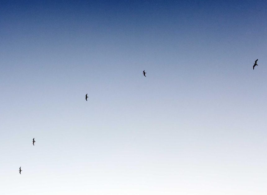 Anggaran Rp 6 M, Pemkot Makassar Beli 3.000 Gadget Untuk Siswa Belajar Daring