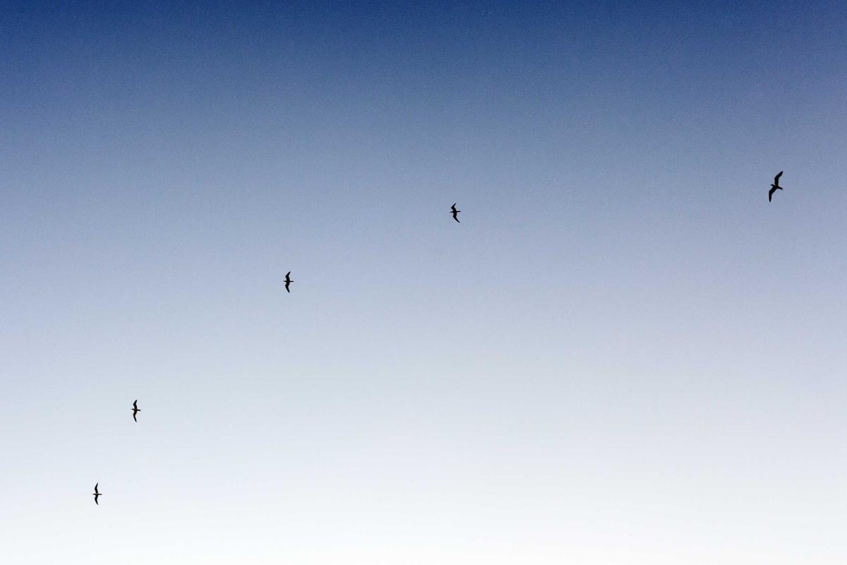 Anggaran Rp 6 M, Pemkot Makassar Beli 3.000 Gadget Untuk Siswa Belajar Daring