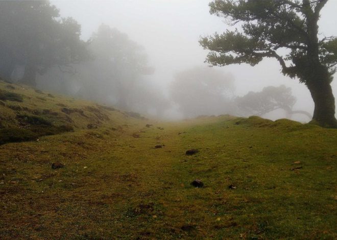 Bocor Alus! Duo HP Baru Motorola Moto G67 & G77 Siap Sikat Game Mobile Budget, Cek Speknya! – IndoGamers