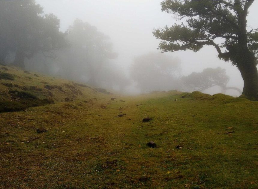 Bocor Alus! Duo HP Baru Motorola Moto G67 & G77 Siap Sikat Game Mobile Budget, Cek Speknya! – IndoGamers