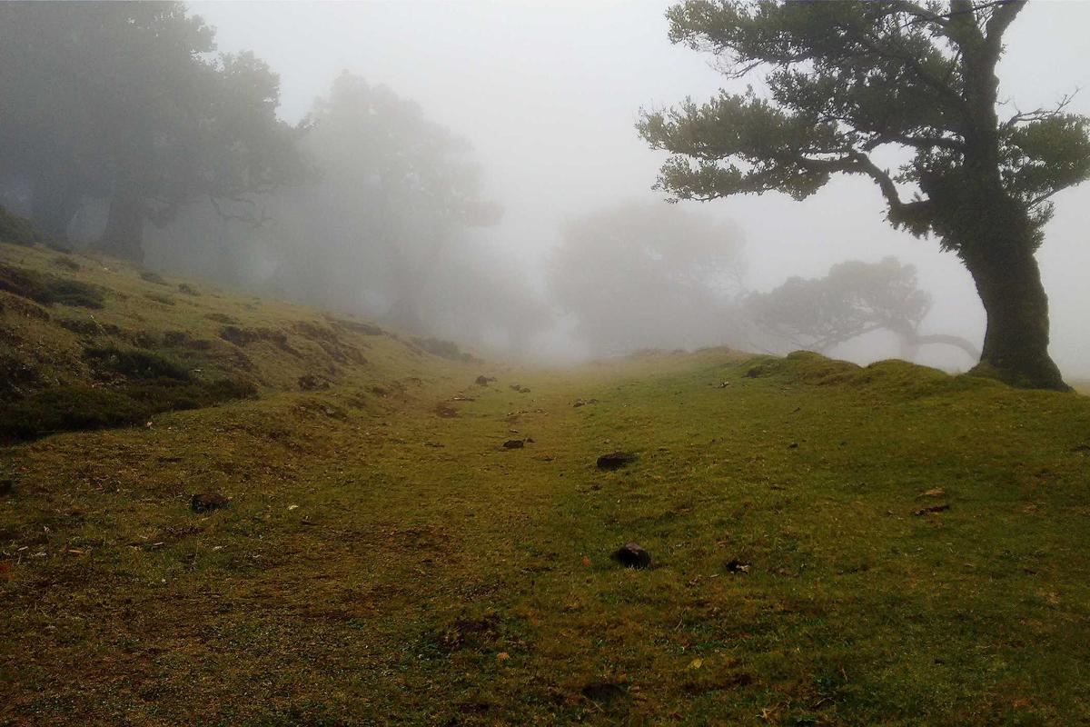 Bocor Alus! Duo HP Baru Motorola Moto G67 & G77 Siap Sikat Game Mobile Budget, Cek Speknya! – IndoGamers