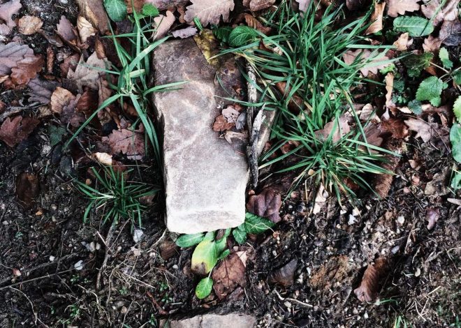 Bocor Alus! Duo HP Baru Motorola Moto G67 & G77 Siap Sikat Game Mobile Budget, Cek Speknya! – IndoGamers