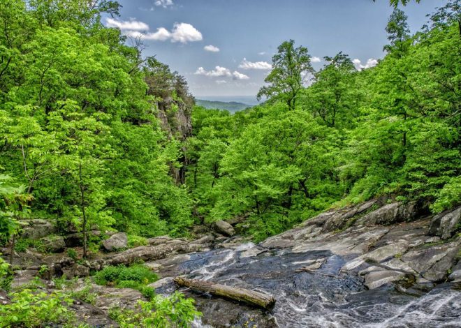 Bocor Alus! Duo HP Baru Motorola Moto G67 & G77 Siap Sikat Game Mobile Budget, Cek Speknya! – IndoGamers