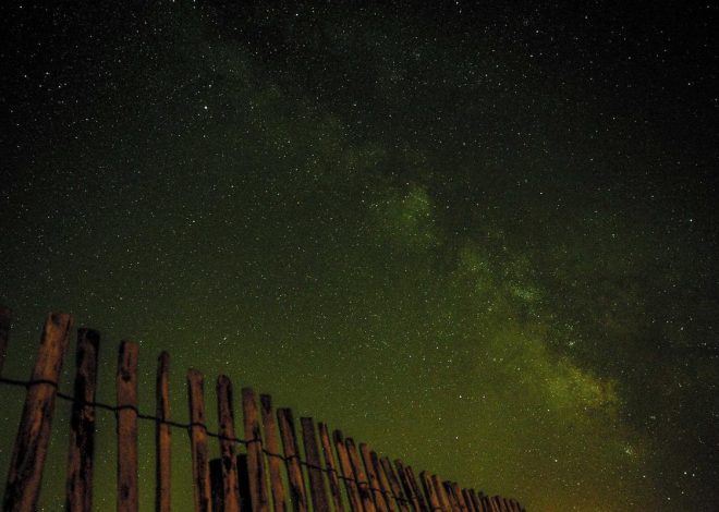 Bocor Alus! Duo HP Baru Motorola Moto G67 & G77 Siap Sikat Game Mobile Budget, Cek Speknya! – IndoGamers