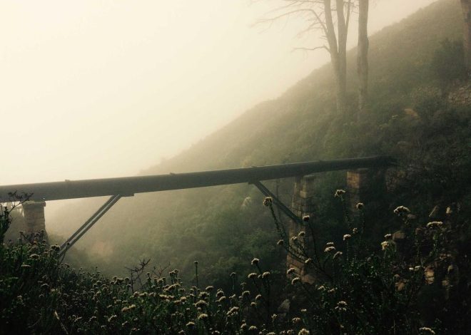 Bocor Alus! Duo HP Baru Motorola Moto G67 & G77 Siap Sikat Game Mobile Budget, Cek Speknya! – IndoGamers