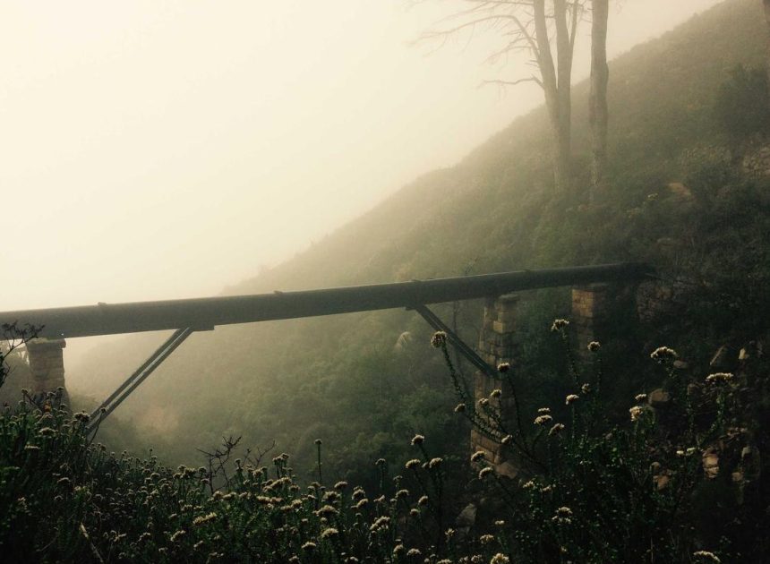 Bocor Alus! Duo HP Baru Motorola Moto G67 & G77 Siap Sikat Game Mobile Budget, Cek Speknya! – IndoGamers