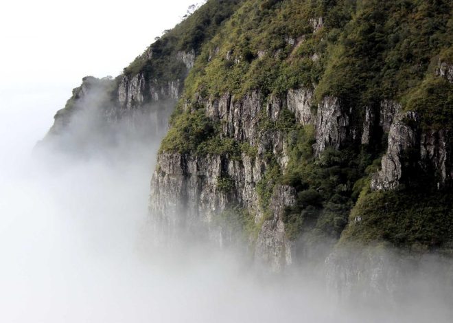 Bocor Alus! Duo HP Baru Motorola Moto G67 & G77 Siap Sikat Game Mobile Budget, Cek Speknya! – IndoGamers