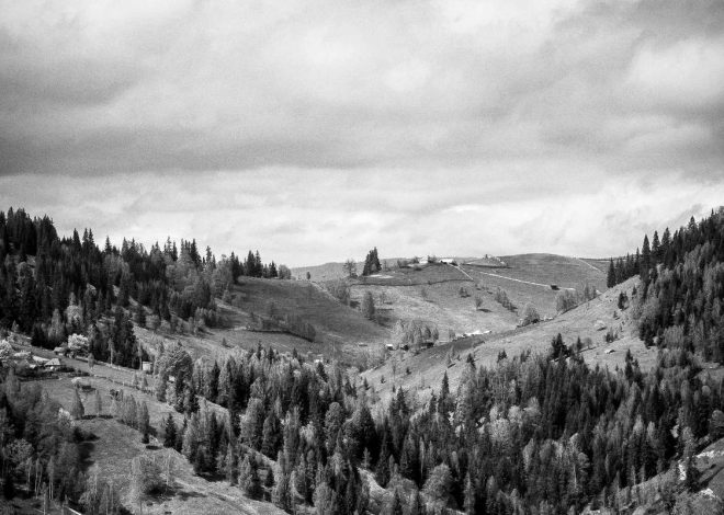 Siapkan Budget Anda! Vivo X300 Pro Resmi Diumumkan di Indonesia, Inilah Harga Resminya – https://rakyatcirebon.disway.id/