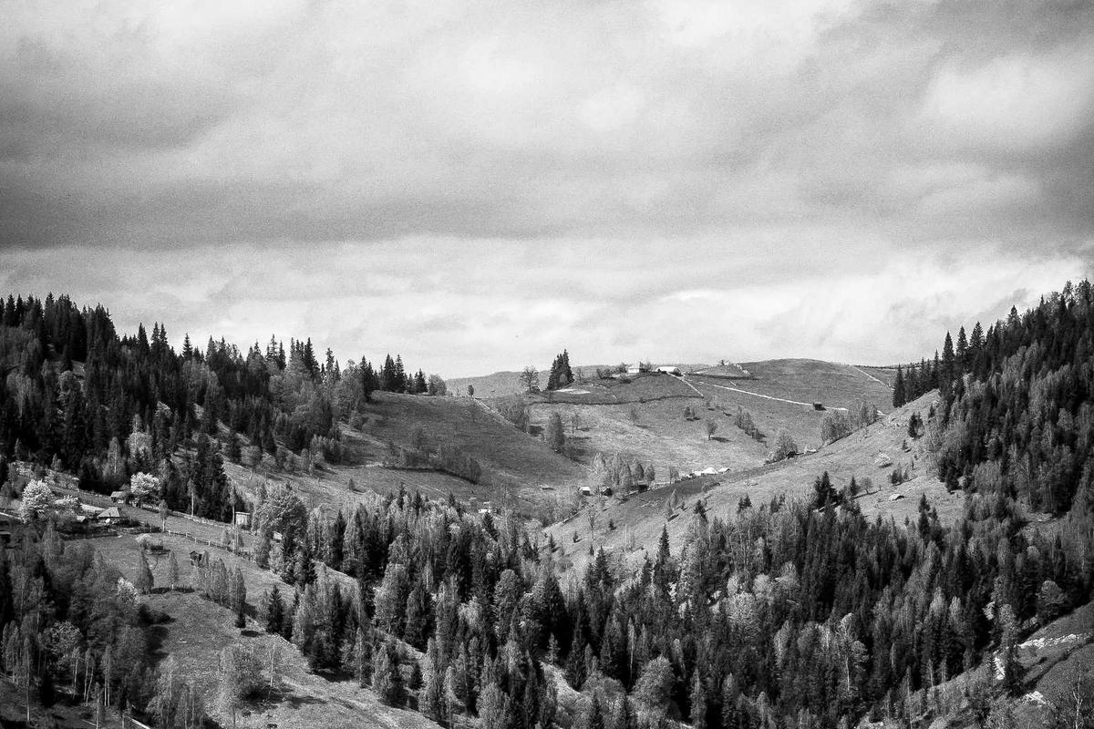 Siapkan Budget Anda! Vivo X300 Pro Resmi Diumumkan di Indonesia, Inilah Harga Resminya – https://rakyatcirebon.disway.id/