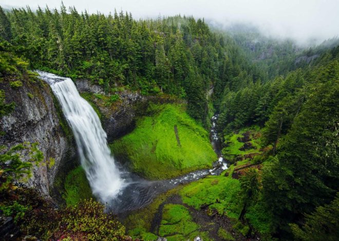 Bocor Alus! Duo HP Baru Motorola Moto G67 & G77 Siap Sikat Game Mobile Budget, Cek Speknya! – IndoGamers