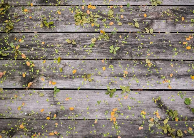 Bocor Alus! Duo HP Baru Motorola Moto G67 & G77 Siap Sikat Game Mobile Budget, Cek Speknya! – IndoGamers