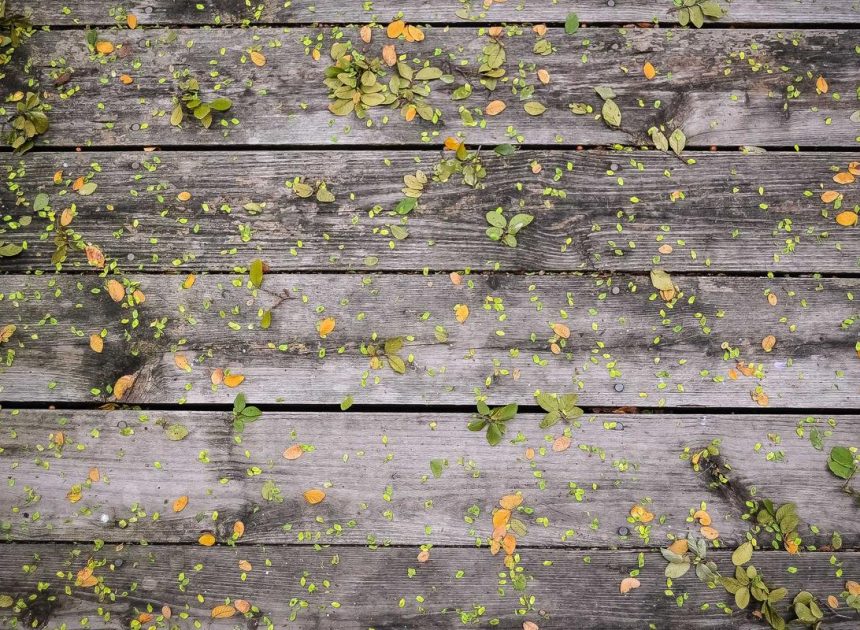 Bocor Alus! Duo HP Baru Motorola Moto G67 & G77 Siap Sikat Game Mobile Budget, Cek Speknya! – IndoGamers