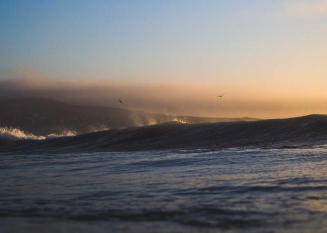 Bocor Alus! Duo HP Baru Motorola Moto G67 & G77 Siap Sikat Game Mobile Budget, Cek Speknya! – IndoGamers