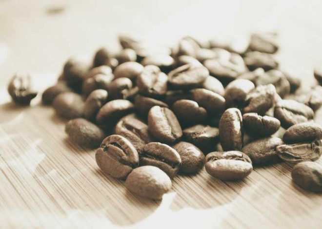 Bocor Alus! Duo HP Baru Motorola Moto G67 & G77 Siap Sikat Game Mobile Budget, Cek Speknya! – IndoGamers