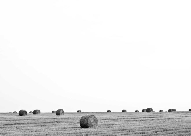 Bocor Alus! Duo HP Baru Motorola Moto G67 & G77 Siap Sikat Game Mobile Budget, Cek Speknya! – IndoGamers