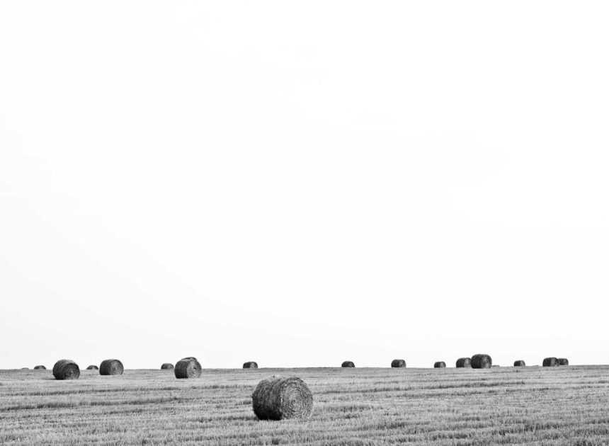 Bocor Alus! Duo HP Baru Motorola Moto G67 & G77 Siap Sikat Game Mobile Budget, Cek Speknya! – IndoGamers