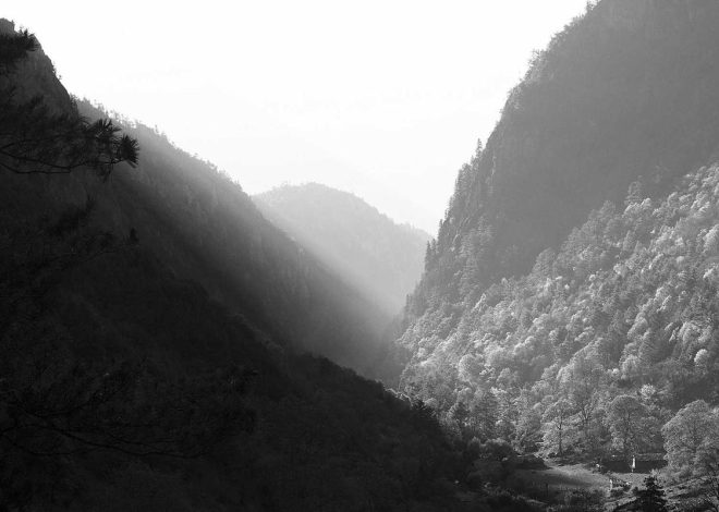 Bocor Alus! Duo HP Baru Motorola Moto G67 & G77 Siap Sikat Game Mobile Budget, Cek Speknya! – IndoGamers