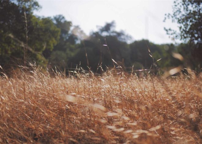 Bocor Alus! Duo HP Baru Motorola Moto G67 & G77 Siap Sikat Game Mobile Budget, Cek Speknya! – IndoGamers