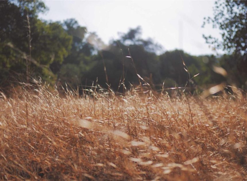 Bocor Alus! Duo HP Baru Motorola Moto G67 & G77 Siap Sikat Game Mobile Budget, Cek Speknya! – IndoGamers