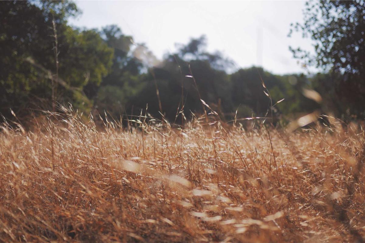 Bocor Alus! Duo HP Baru Motorola Moto G67 & G77 Siap Sikat Game Mobile Budget, Cek Speknya! – IndoGamers