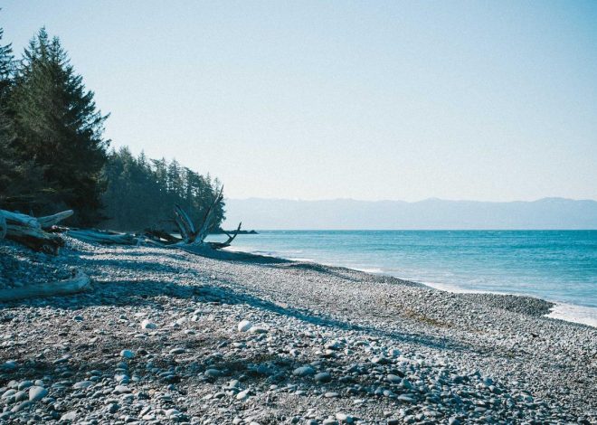 Bocor Alus! Duo HP Baru Motorola Moto G67 & G77 Siap Sikat Game Mobile Budget, Cek Speknya! – IndoGamers