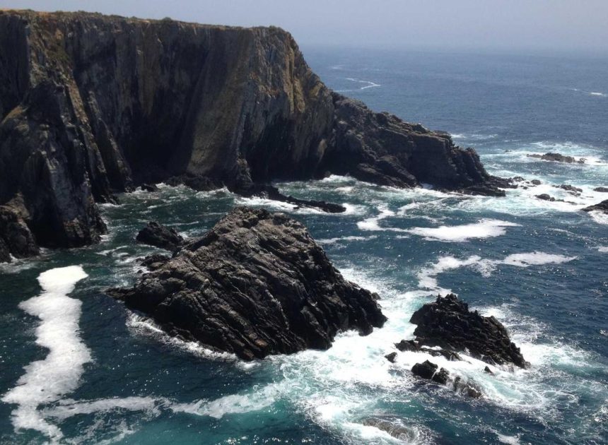 Bocor Alus! Duo HP Baru Motorola Moto G67 & G77 Siap Sikat Game Mobile Budget, Cek Speknya!