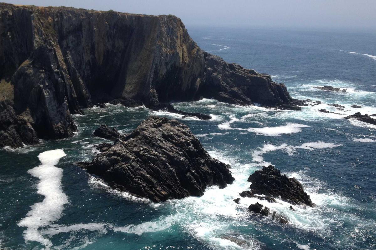 Bocor Alus! Duo HP Baru Motorola Moto G67 & G77 Siap Sikat Game Mobile Budget, Cek Speknya!