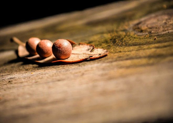 Bocor Alus! Duo HP Baru Motorola Moto G67 & G77 Siap Sikat Game Mobile Budget, Cek Speknya!