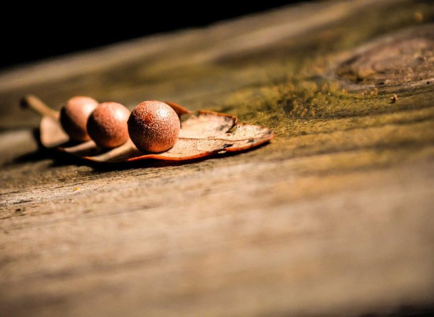 Bocor Alus! Duo HP Baru Motorola Moto G67 & G77 Siap Sikat Game Mobile Budget, Cek Speknya!